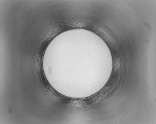X0000116040414200912181234