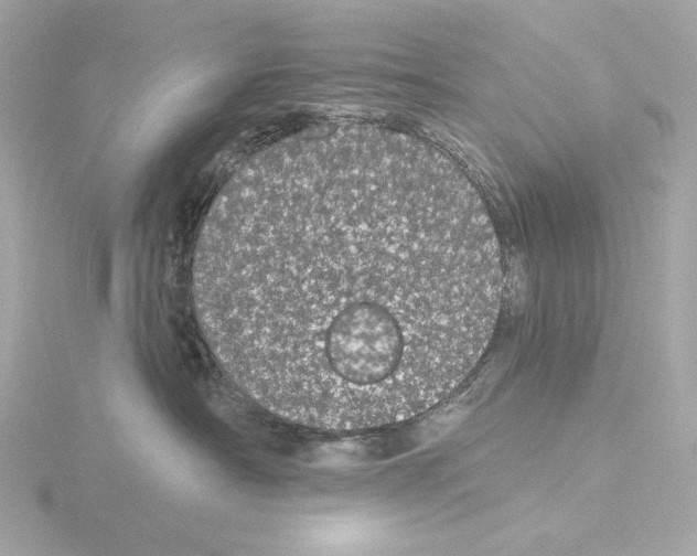 X0000116040430200912181234