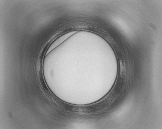 X0000116040435200912181234