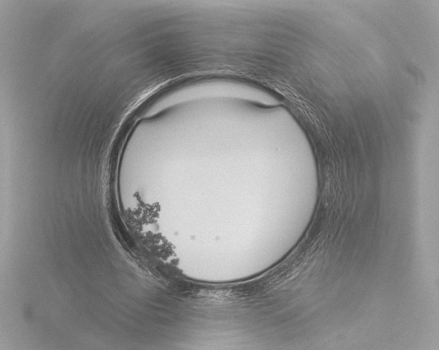 X0000116040440200912181234