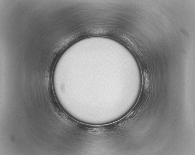 X0000116040447200912181234