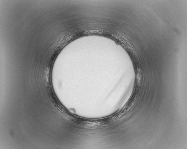 X0000116040458200912181234