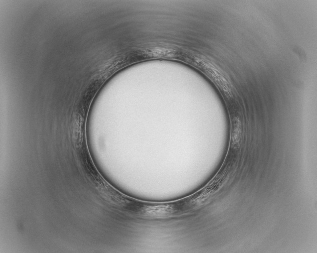 X0000116040461200912181234