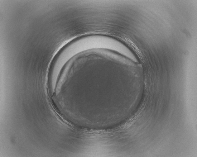X0000116040484200912181233