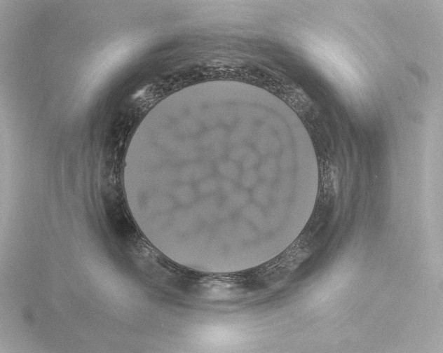 X0000116040526200912181233
