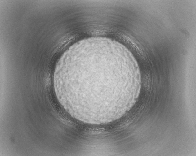 X0000116040549200912181232
