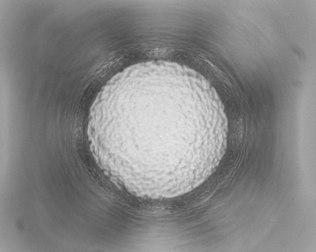 X0000116040553200912181232