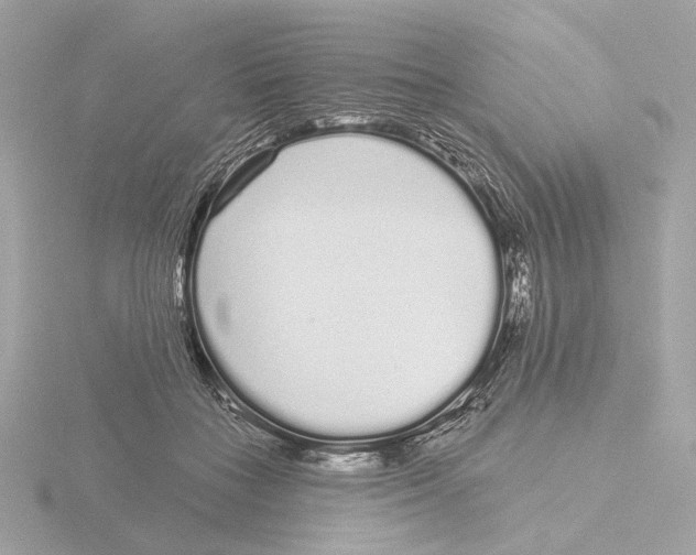 X0000116040555200912181232