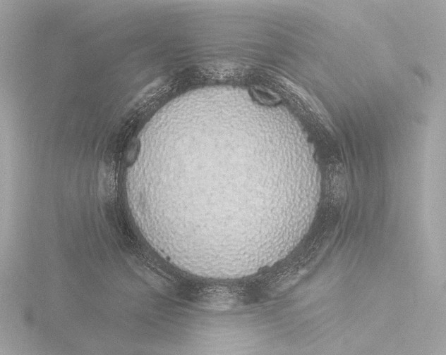 X0000116040558200912181233