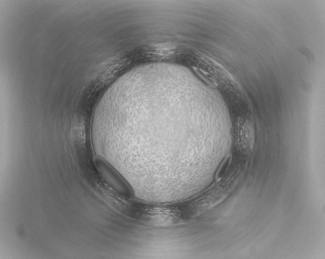 X0000116040562200912181233
