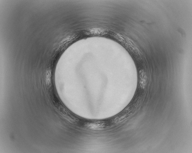 X0000116040563200912181233