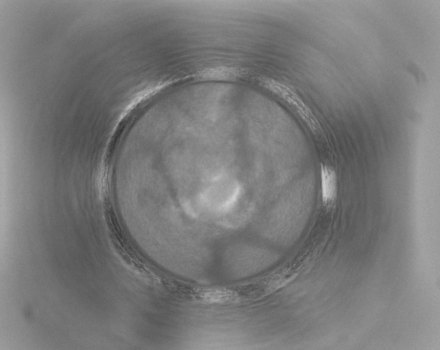 X0000116040579200912181232