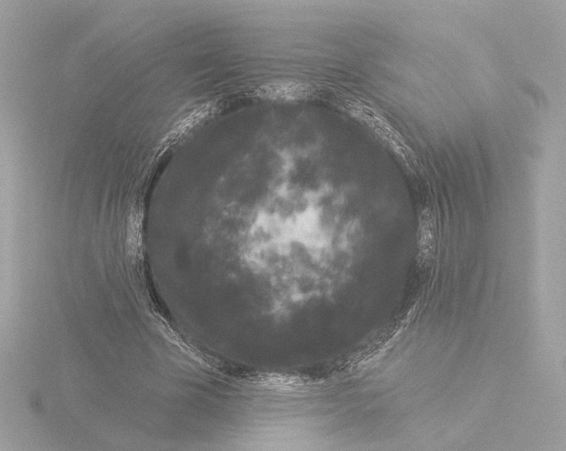 X0000116040585200912181232
