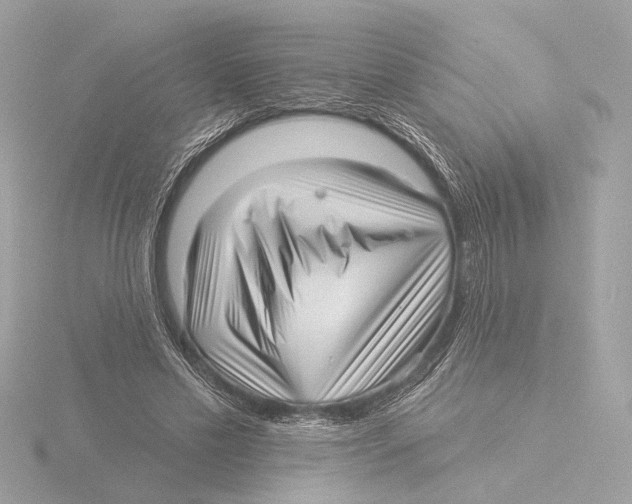 X0000116040589200912181232