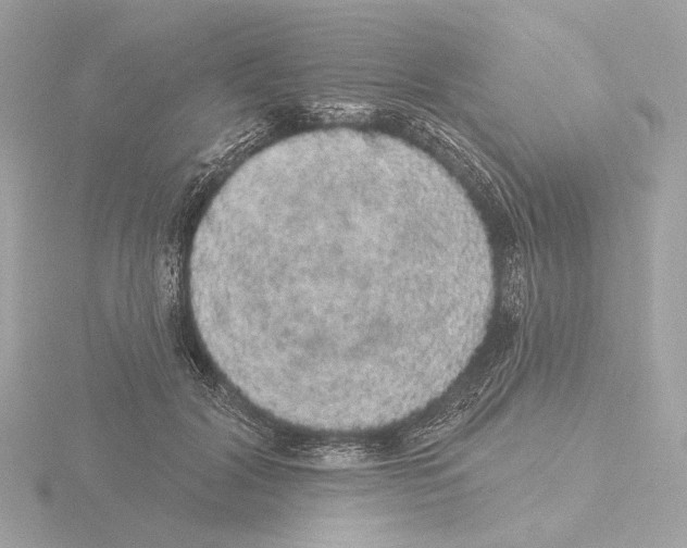 X0000116040604200912181232