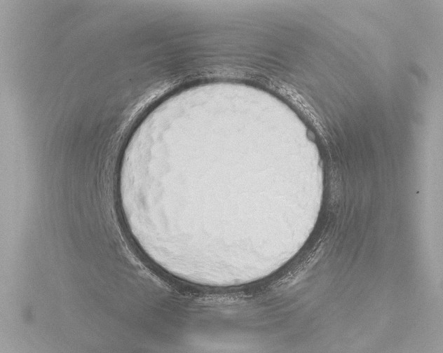 X0000116040625200912181231