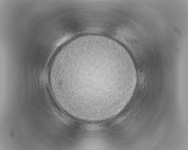 X0000116040632200912181231