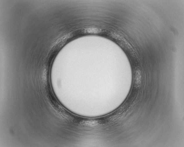 X0000116040639200912181231