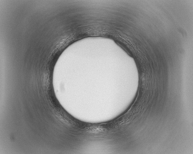 X0000116040642200912181231