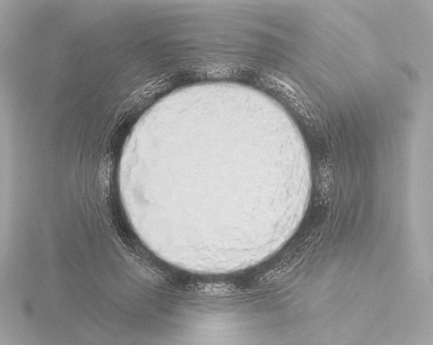 X0000116040645200912181231