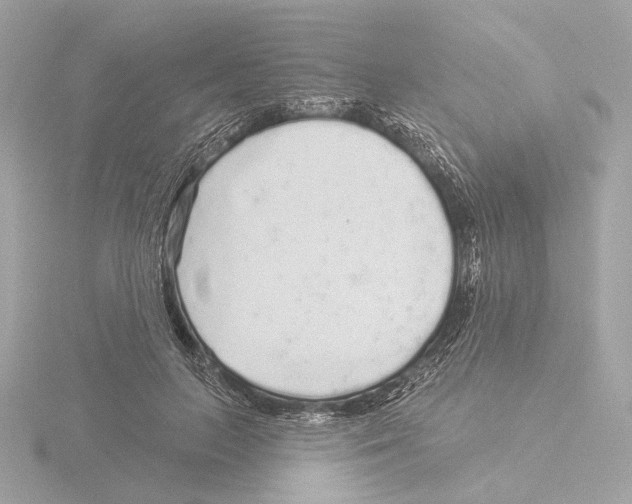X0000116040647200912181231