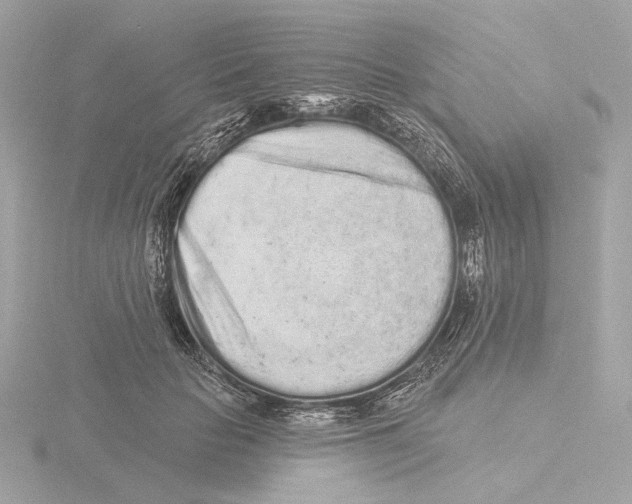 X0000116040653200912181231