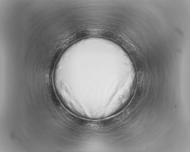 X0000116040655200912181231