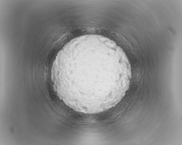 X0000116040656200912181231