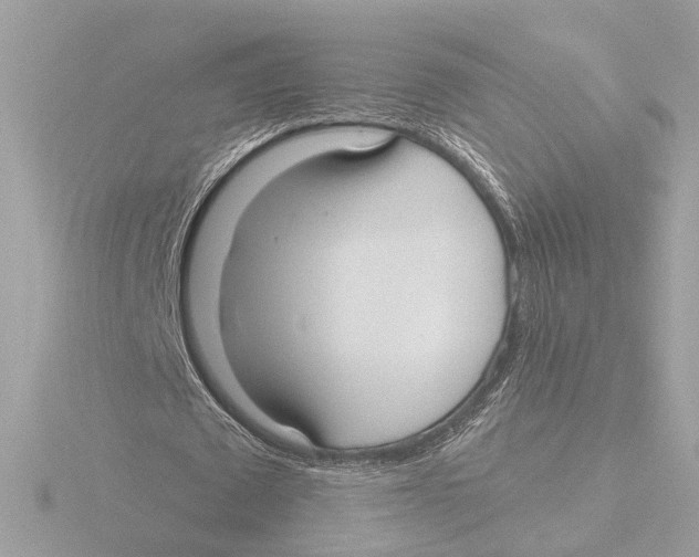 X0000116040673200912181231