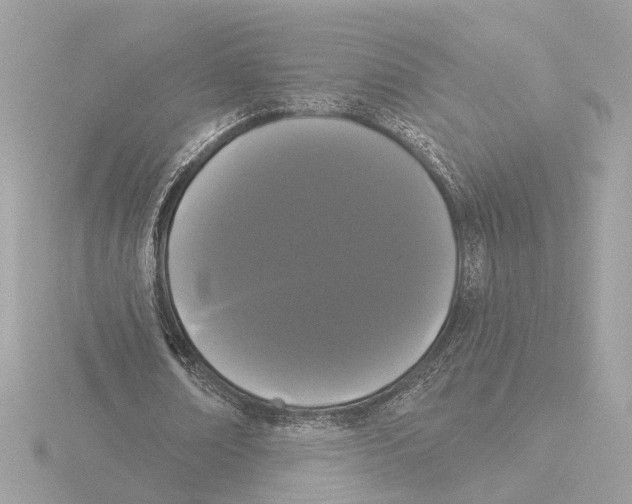 X0000116040674200912181231