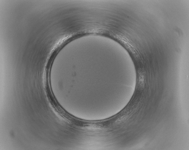 X0000116040678200912181231