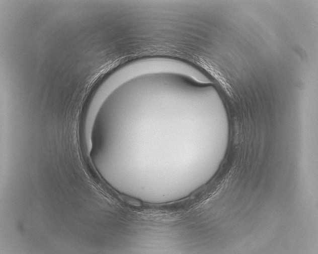 X0000116040681200912181231