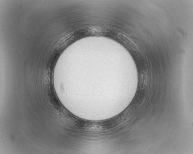 X0000116040702200912181231
