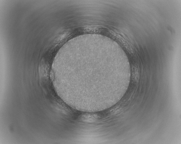 X0000116040712200912181230