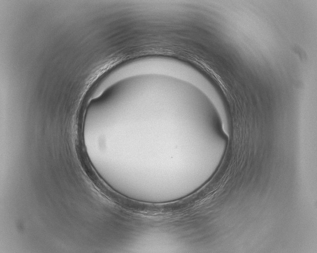X0000116040725200912181230