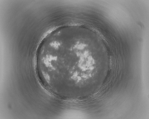 X0000116040726200912181230