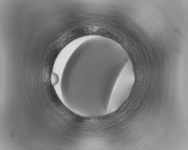 X0000116040754200912181230