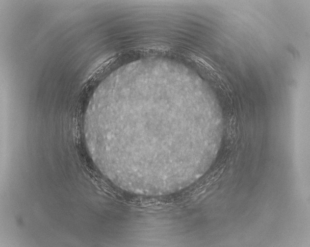 X0000116040774200912181230