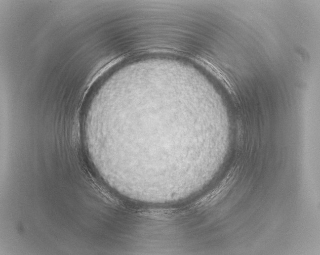 X0000116040782200912181229