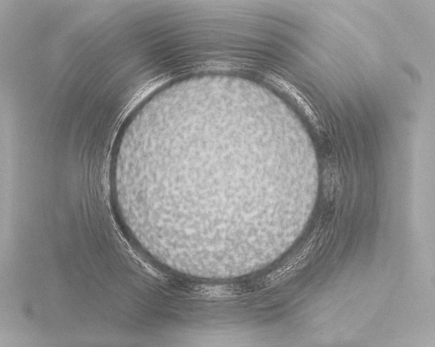 X0000116040794200912181229