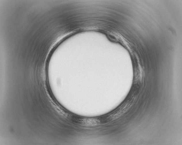 X0000116040795200912181229