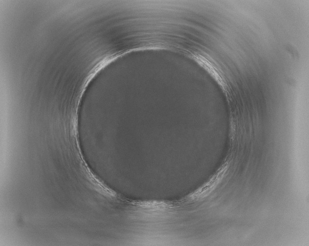 X0000116040797200912181229