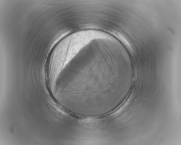 X0000116040806200912181229