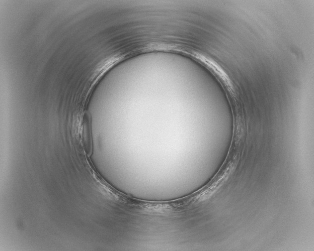 X0000116040809200912181229