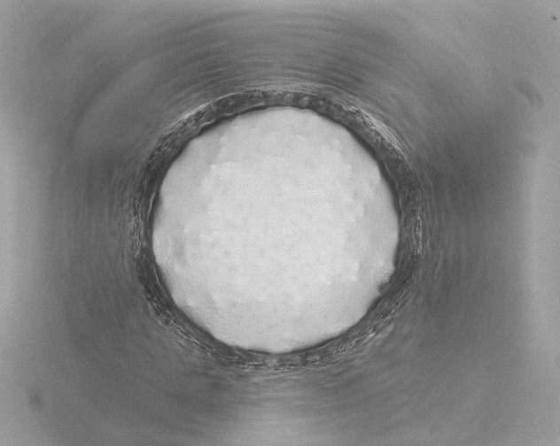 X0000116040821200912181228