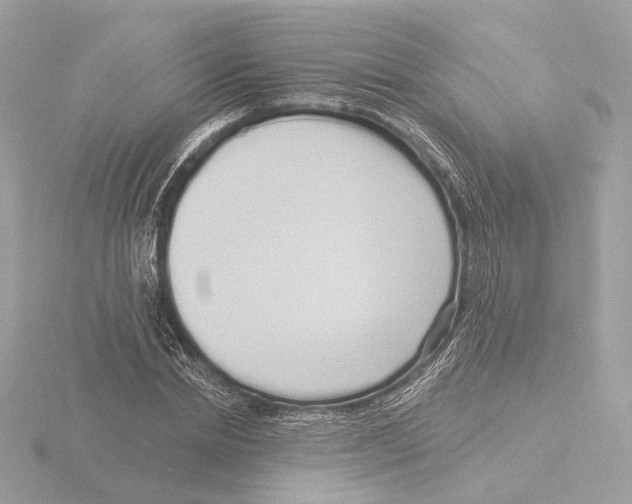 X0000116040830200912181229