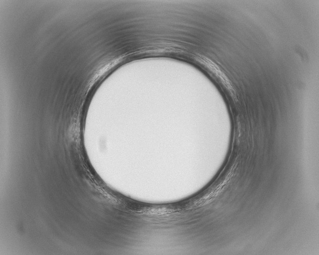 X0000116040834200912181229