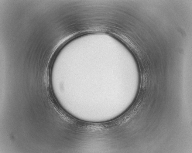 X0000116040838200912181229