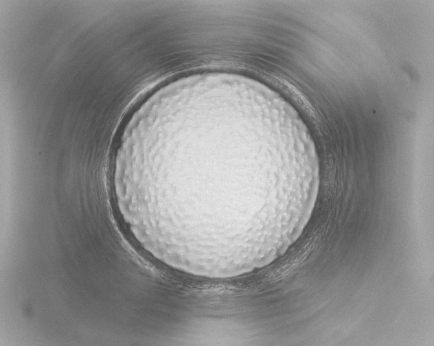 X0000116040847200912181229