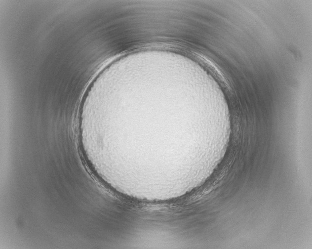 X0000116040852200912181229